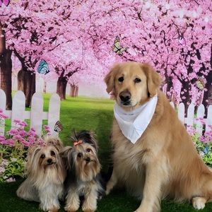 Meet your Posher, Michelle